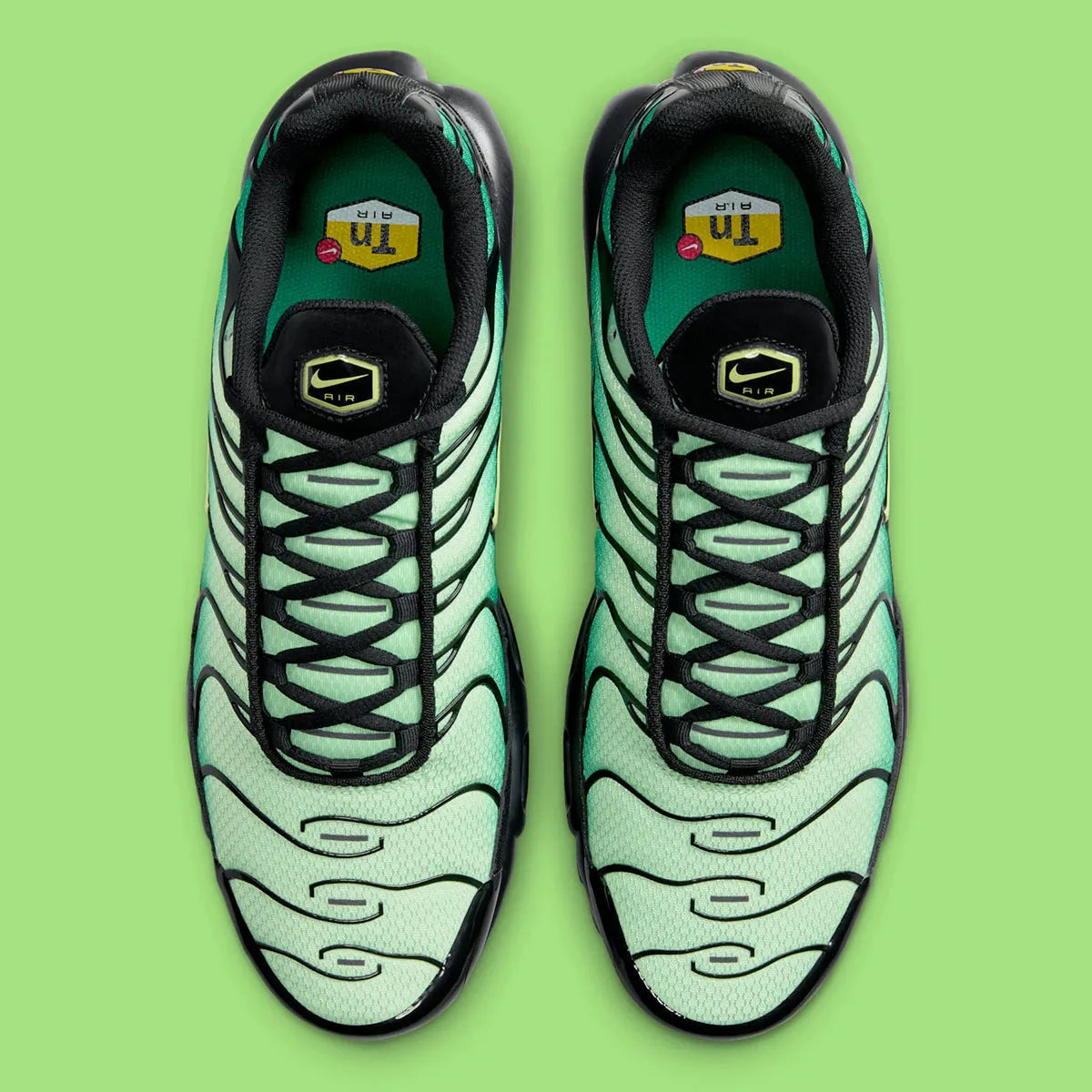 NIKE AIR MAX PLUS TN